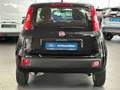 Fiat Panda 1.2 8V Pop #USB-RADIO #KLIMA #GJ-REIFEN Zwart - thumbnail 4