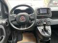Fiat Panda Panda III 2021 1.0 firefly hybrid s Schwarz - thumbnail 6