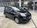 Fiat Panda Panda III 2021 1.0 firefly hybrid s Schwarz - thumbnail 3