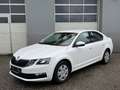 Skoda Octavia 1,6 TDI Ambition Weiß - thumbnail 9