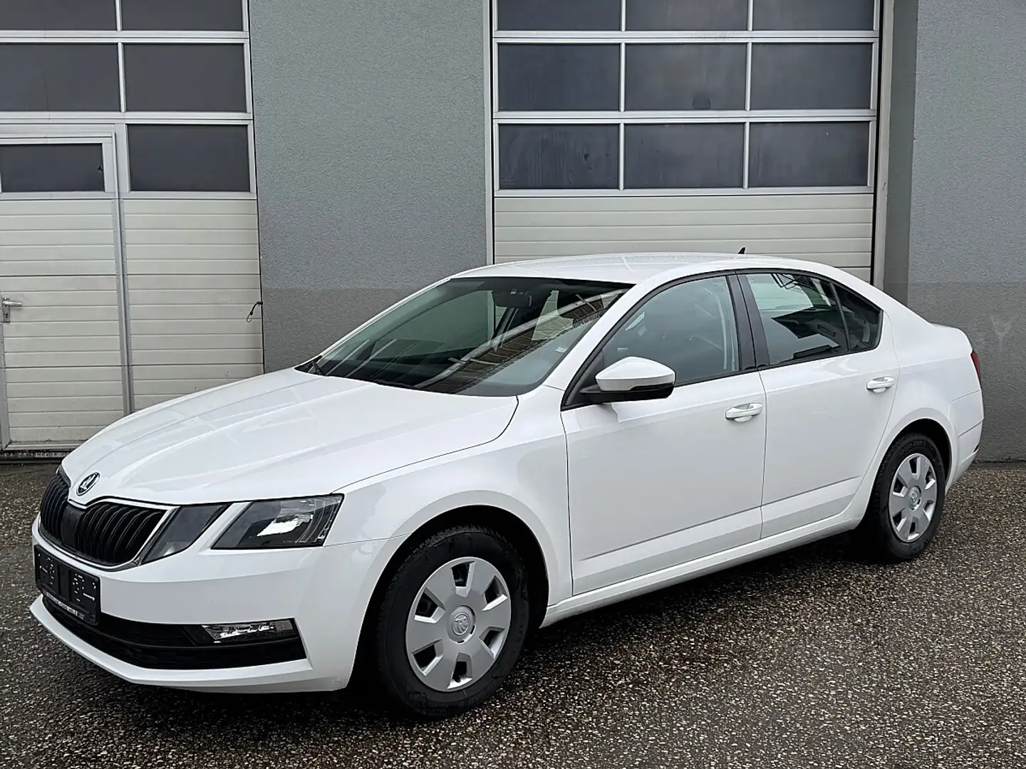 Skoda Octavia 1,6 TDI Ambition Weiß - 1