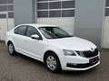 Skoda Octavia 1,6 TDI Ambition Weiß - thumbnail 8