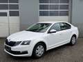 Skoda Octavia 1,6 TDI Ambition Weiß - thumbnail 7