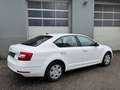 Skoda Octavia 1,6 TDI Ambition Weiß - thumbnail 14