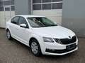 Skoda Octavia 1,6 TDI Ambition Weiß - thumbnail 10