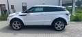 Land Rover Range Rover Evoque Dynamic 4WD SD4 Leder Kamera Blanc - thumbnail 5