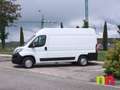 Fiat Ducato 30 Medio 2.0 Multijet 85kW (115CV) Weiß - thumbnail 8