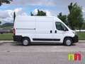 Fiat Ducato 30 Medio 2.0 Multijet 85kW (115CV) Weiß - thumbnail 3