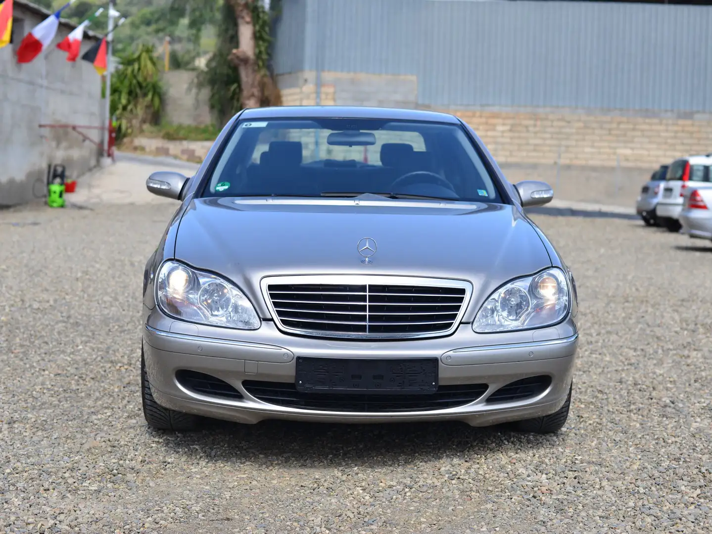 Mercedes-Benz S 350 L Gris - 1