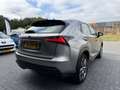 Lexus NX 300h Luxury Line | 1E EIGENAAR | 12MND GARANTIE | NAVI Bruin - thumbnail 6