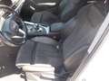 Audi A4 allroad Quattro 2.0 tdi Business Evol. 190cv s-tronic Bianco - thumbnail 6