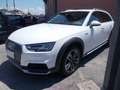 Audi A4 allroad Quattro 2.0 tdi Business Evol. 190cv s-tronic Bianco - thumbnail 1