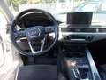 Audi A4 allroad Quattro 2.0 tdi Business Evol. 190cv s-tronic Bianco - thumbnail 9