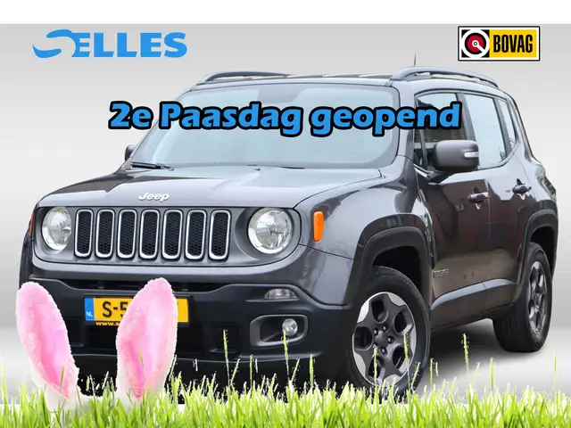 Jeep Renegade 1.6 E-Torq Longitude | DAB Radio | Parkeersensoren