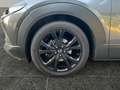 Mazda CX-30 2.0 SKYACTIV-G M Hybrid EU6d Homura 2WD NAVI Grau - thumbnail 14