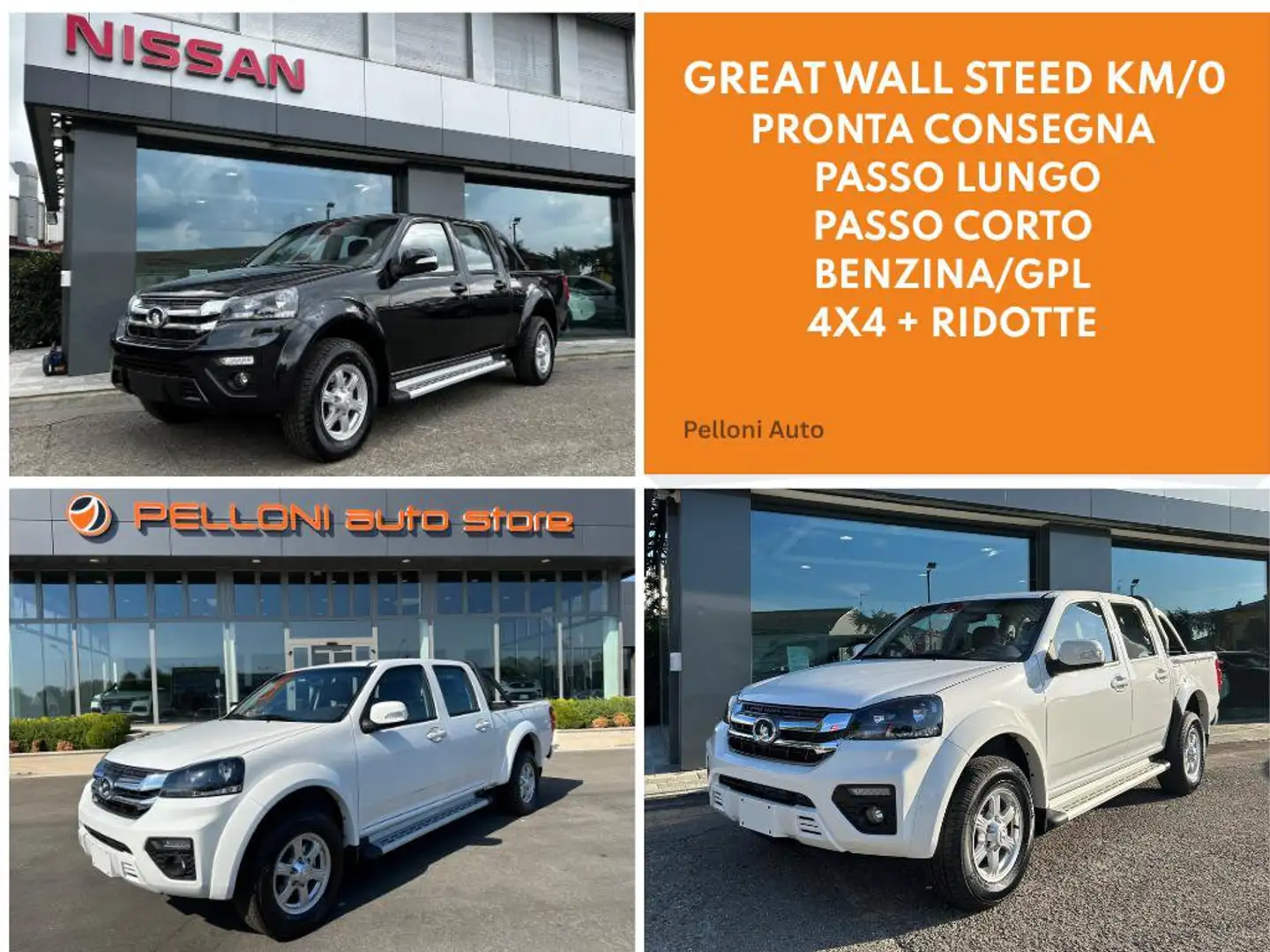 Great Wall Steed PRONTA CONSEGNA  B/GPL 4X4 PREMIUM P LUNGO PREZZO+IVA Schwarz - 1