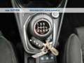 Ford Puma 1.0 ecoboost hybrid Titanium s&s 125cv Bianco - thumbnail 14