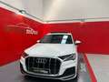 Audi Q7 45 TDI S line plus quattro Blanco - thumbnail 15