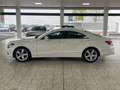 Mercedes-Benz CLS 350 CDI BE LED/Navi/Teilleder/Holzlenkrad Weiß - thumbnail 4