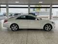 Mercedes-Benz CLS 350 CDI BE LED/Navi/Teilleder/Holzlenkrad Weiß - thumbnail 3
