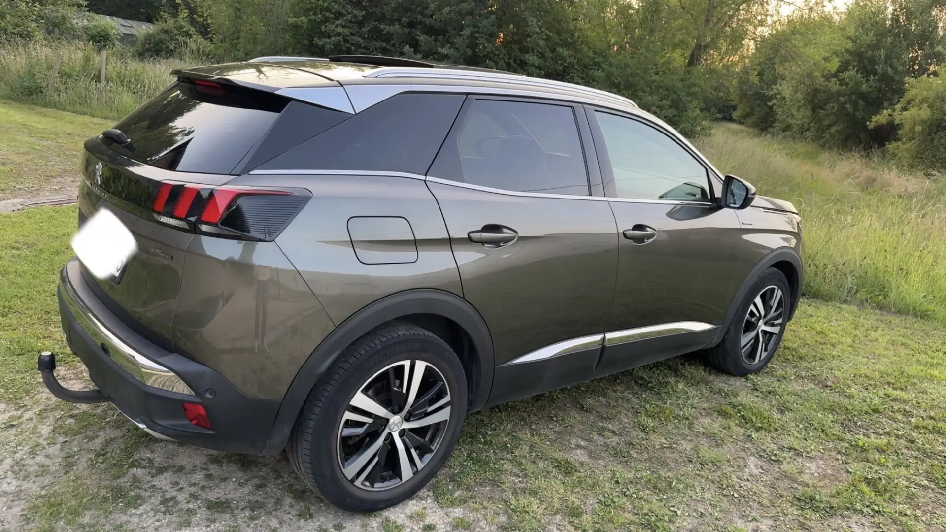 Peugeot 3008 1.2 PureTech GT Line (EU6.3) - 2