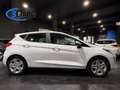 Ford Fiesta 1.1 Ti-VCT Trend Wit - thumbnail 4