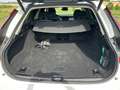Volvo V90 V90 T6 Hybrid AWD Plus Dark *AHK*360°*Pano*LED Weiß - thumbnail 17