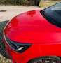 Ford Focus 1.0t ecoboost h ST-Line X 125cv Rosso - thumbnail 11