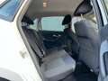 Volkswagen Polo 1.4 TDI BlueMotion * Navi * Cruise * Climate * Nie Weiß - thumbnail 18