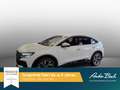 Audi Q4 e-tron Navi LED Standklima ACC EPH Weiß - thumbnail 2