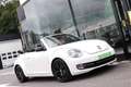 Volkswagen Beetle CABRIOLET 2.0TDi 140CV DESIGN DSG GPS CUIR CLIM Blanc - thumbnail 3