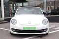 Volkswagen Beetle CABRIOLET 2.0TDi 140CV DESIGN DSG GPS CUIR CLIM Blanc - thumbnail 4