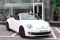 Volkswagen Beetle CABRIOLET 2.0TDi 140CV DESIGN DSG GPS CUIR CLIM Blanc - thumbnail 1