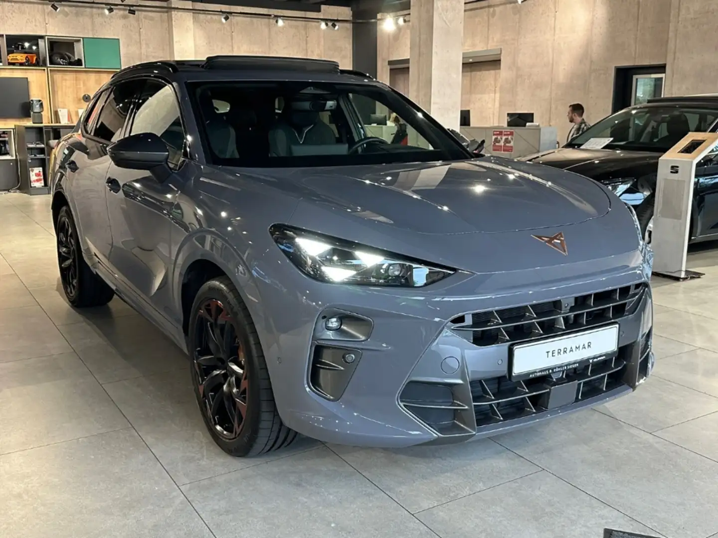 CUPRA Terramar 2.0 TSI 4Drive  Akebono Sennheiser Matrix Pano Hea Grau - 2