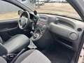 Fiat Panda 1.2 8V Classic**8 fach bereift** Weiß - thumbnail 10
