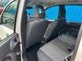 Fiat Panda 1.2 8V Classic**8 fach bereift** Weiß - thumbnail 13