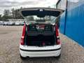 Fiat Panda 1.2 8V Classic**8 fach bereift** Weiß - thumbnail 14