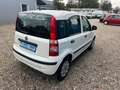 Fiat Panda 1.2 8V Classic**8 fach bereift** Weiß - thumbnail 5