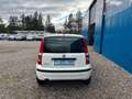 Fiat Panda 1.2 8V Classic**8 fach bereift** Weiß - thumbnail 15