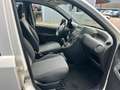 Fiat Panda 1.2 8V Classic**8 fach bereift** Weiß - thumbnail 9