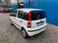 Fiat Panda 1.2 8V Classic**8 fach bereift** Weiß - thumbnail 6