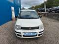 Fiat Panda 1.2 8V Classic**8 fach bereift** Weiß - thumbnail 2