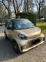 smart forTwo cabrio EQ Or - thumbnail 4
