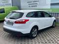 Ford Focus Traveller 1,6 TDCi * 2. Besitz * Servicegepflegt * Weiß - thumbnail 6