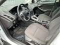 Ford Focus Traveller 1,6 TDCi * 2. Besitz * Servicegepflegt * Weiß - thumbnail 10