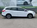 Ford Focus Traveller 1,6 TDCi * 2. Besitz * Servicegepflegt * Weiß - thumbnail 7