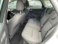 Ford Focus Traveller 1,6 TDCi * 2. Besitz * Servicegepflegt * Weiß - thumbnail 13
