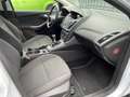 Ford Focus Traveller 1,6 TDCi * 2. Besitz * Servicegepflegt * Weiß - thumbnail 12