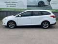 Ford Focus Traveller 1,6 TDCi * 2. Besitz * Servicegepflegt * Weiß - thumbnail 3