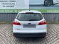 Ford Focus Traveller 1,6 TDCi * 2. Besitz * Servicegepflegt * Weiß - thumbnail 9